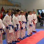 Puchar Polskiej Unii Karate